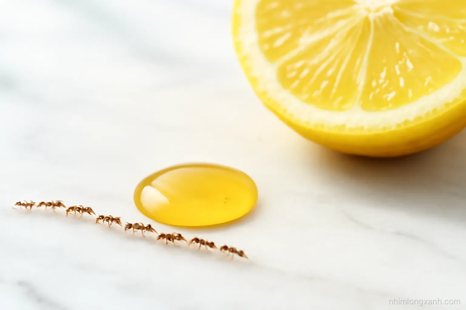 Macro shot of a tiny line of ants approaching a drop of honey on a white marble kitchen counter, a lemon slice nearby, crisp bright daylight