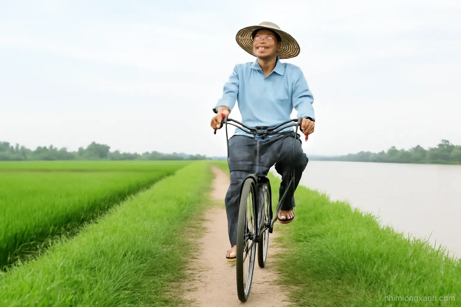 Low angle view of a grassy river dike path with a Vietnamese grandfather cycling past, green rice paddies on one side and a wide brown river on the other, soft overcast spring light