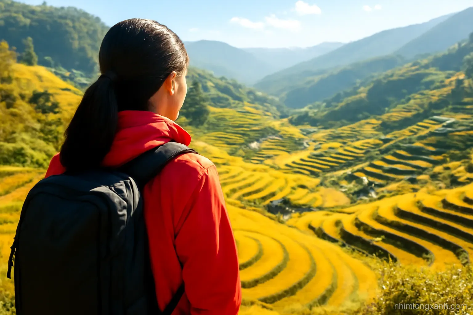 Over-the-shoulder shot of a Vietnamese hiker in a red jacket looking down at golden terraced rice fields curving across a valley, scattered wooden houses, crisp autumn sunlight