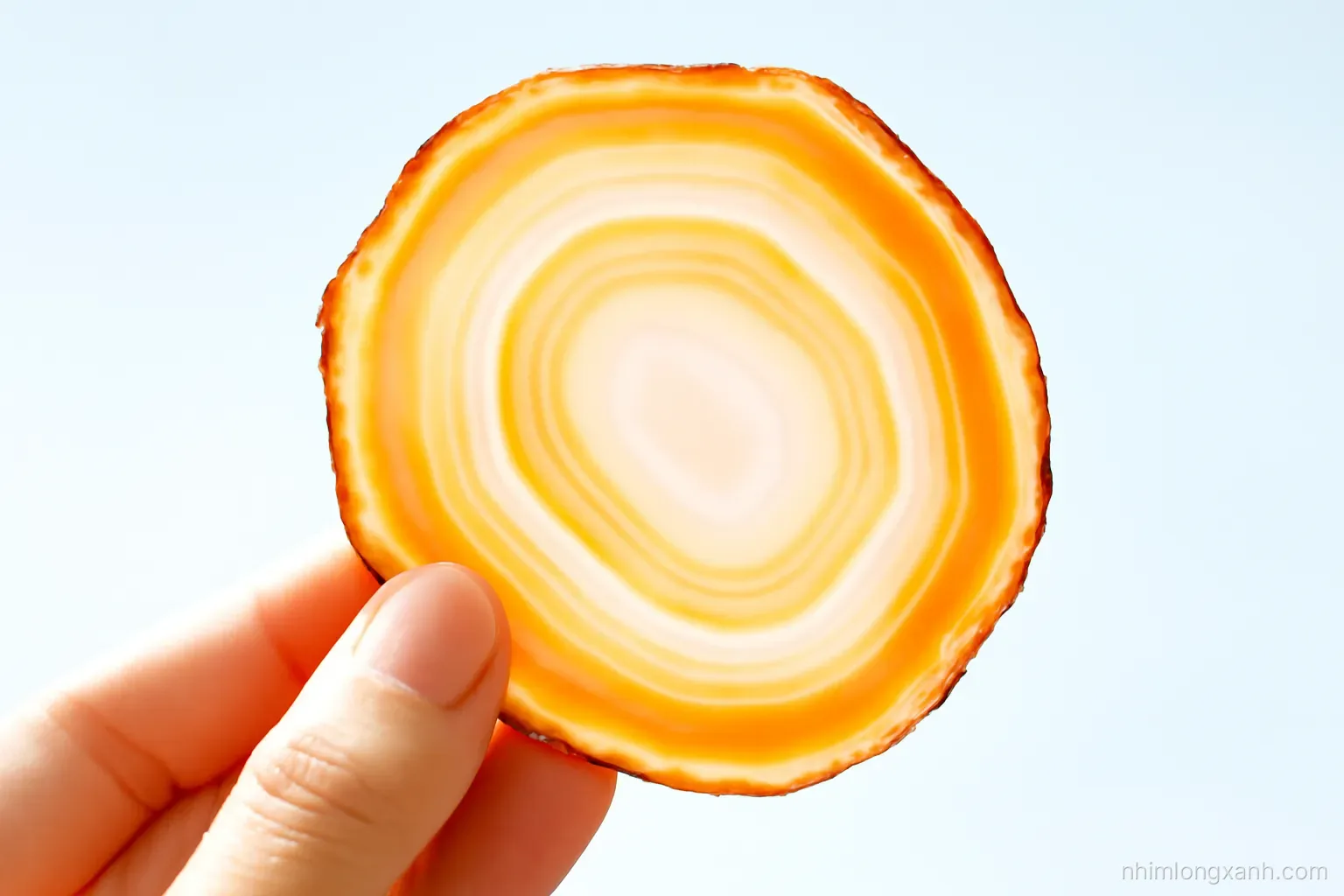 Đá quý và đồ quý