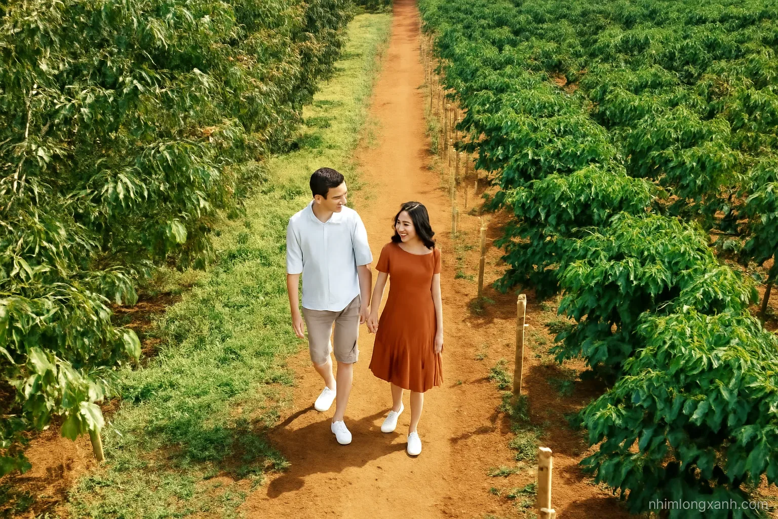 Top-down drone shot of a Vietnamese couple walking a narrow dirt path between durian and coffee plots, wooden stakes marking a boundary, bright morning sun, rich green and terracotta tones
