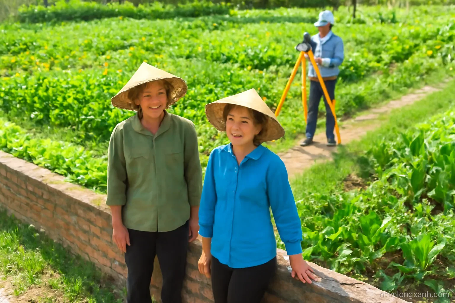 Two Vietnamese farmers standing beside a low brick boundary wall between gardens, surveyor with tripod measuring in background, high angle shot, bright midday light, fresh green palette