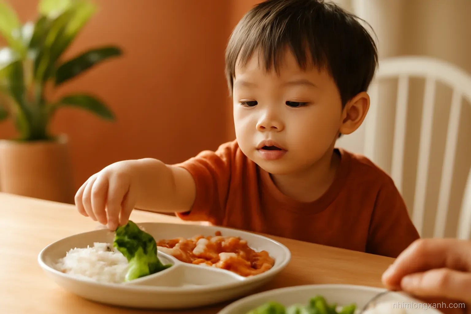 Eye-level shot of a Vietnamese preschool boy reaching for steamed broccoli on a divided plate at a family dinner table, warm evening light, terracotta and leafy green tones
